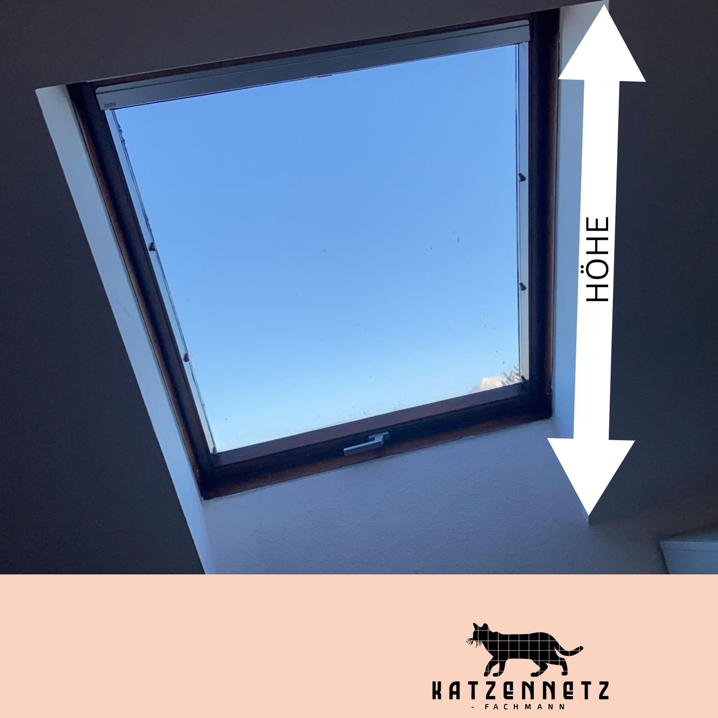 Katzen Dachfenster Fenstersicherung