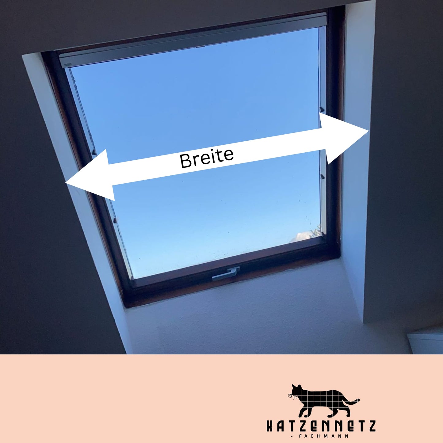 Katzen Dachfenster Fenstersicherung