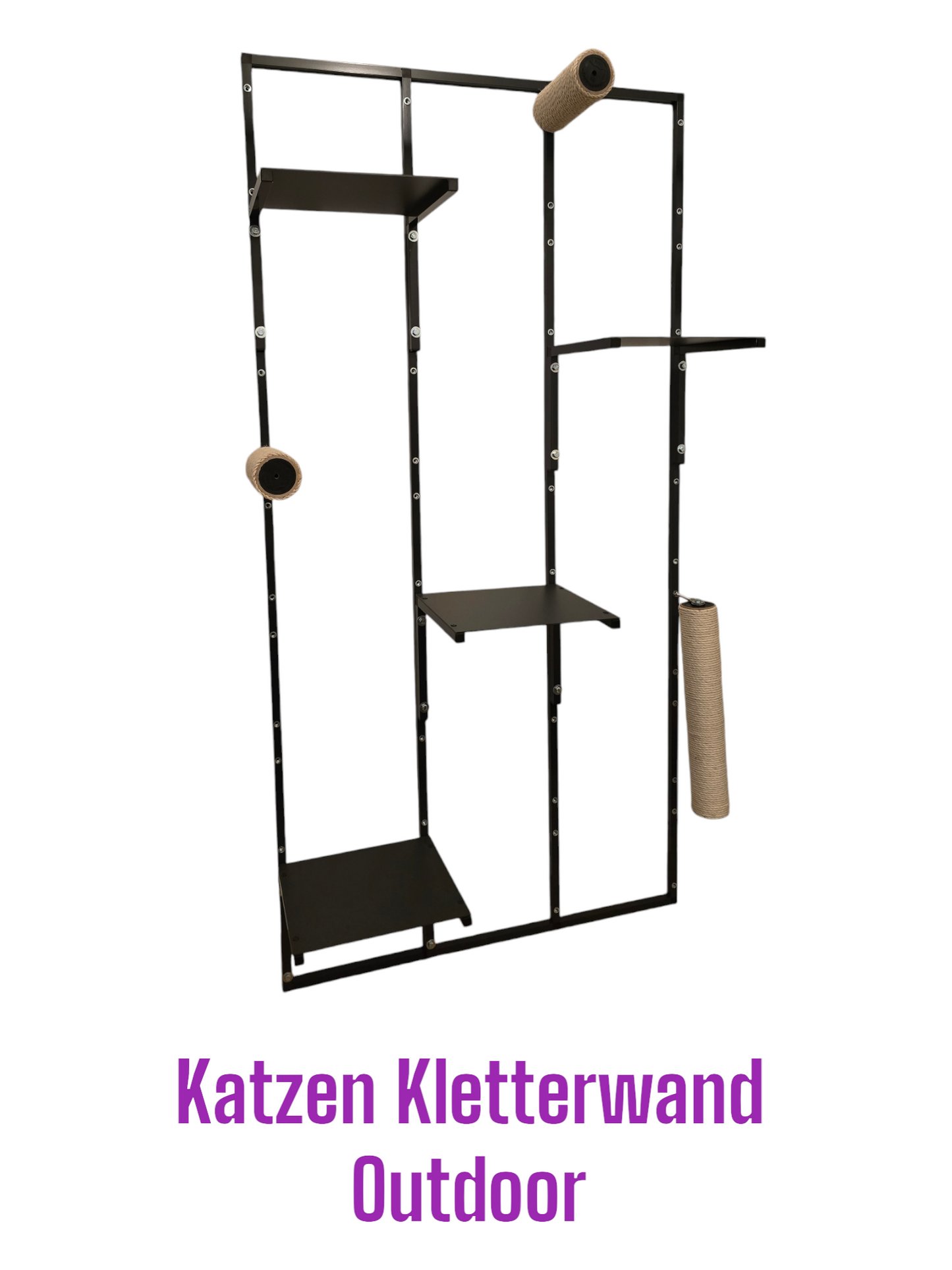 Katze Kletterwand